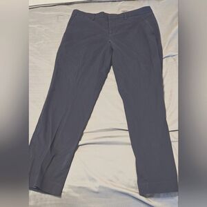 Express Dress pants